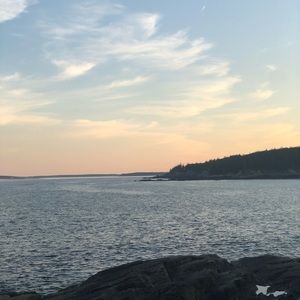 Meet your Posher, Reda